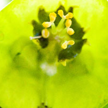 会员市场安全的网页DDOS攻击平台